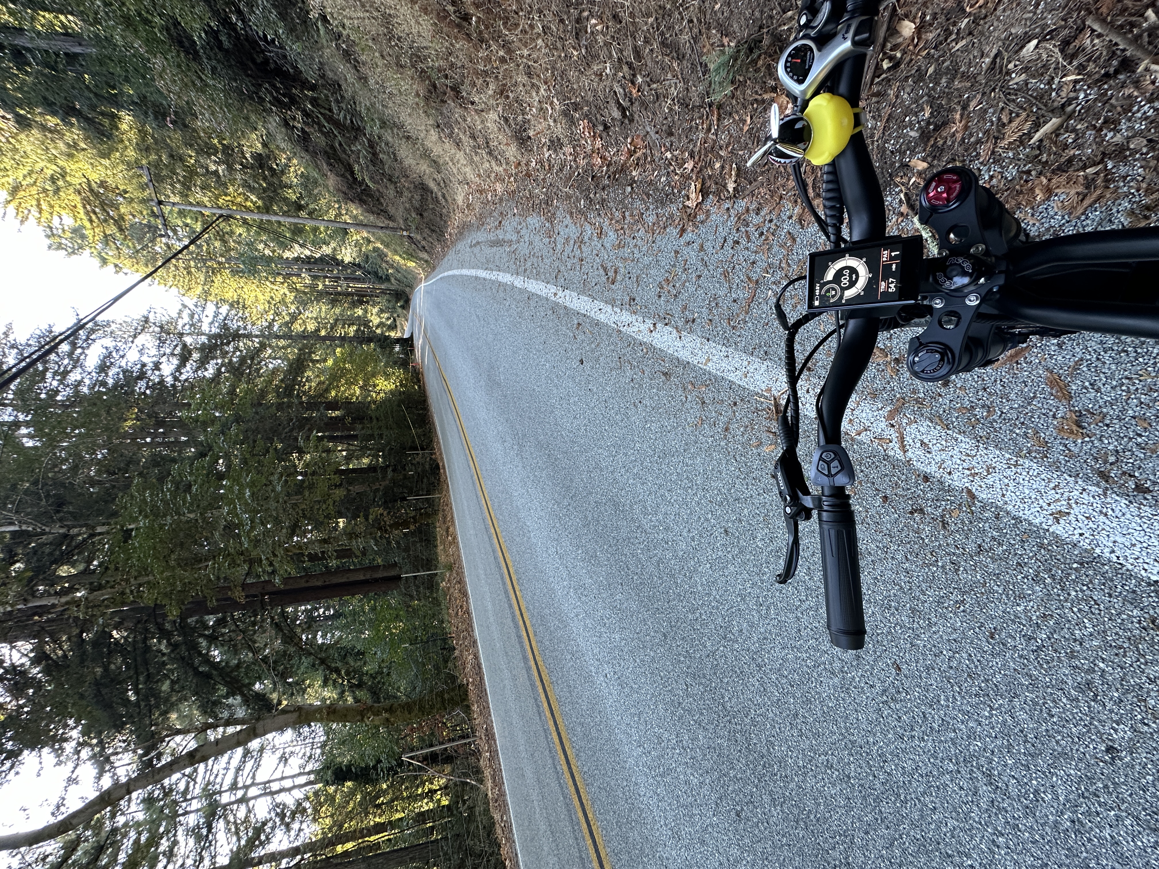 Shannon Road descent